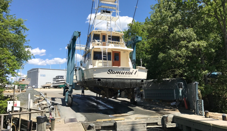 spring cove marina maryland